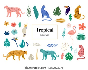 Tropical exotic animals and birds - leopards, tigers, parrots and toucans vector illustration. Wild animals in the jungle, rainforest