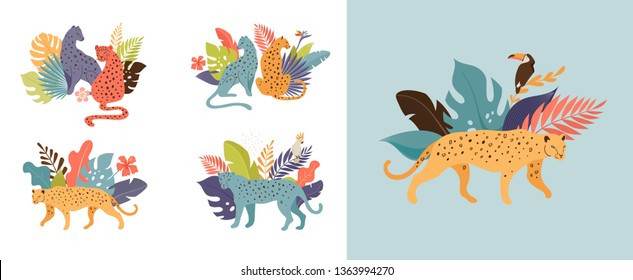 Tropical exotic animals and birds  leopards, tigers, parrots and toucans vector illustration. Wild animals in the jungle, rainforest