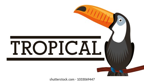 tropical exotic bird animal card