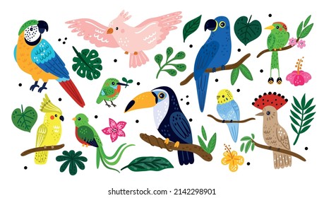Tropical exotic birds. Cute colorful jungle animals. Palm leaves and flowers. Different parrots on rainforest branches. Toucan or hummingbirds. Vector decorative nature - Shutterstock ID 2142298901