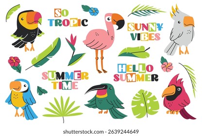 Tropical exotic birds and invitation summer text design elements for greeting cards and posters. Jungle rainforest wildlife feathered inhabitants and palm leaves collection vector illustration
