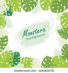 Tropical exotic border frame with Monstera leaves background, with Blue, green, pink and yellow  jungle monstera leaf