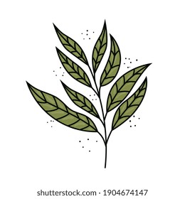 tropical exotic branch with leafs nature isolated icon vector illustration design