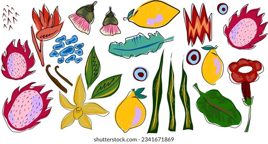 Tropical exotic bright collection. Vector elements in flat style.