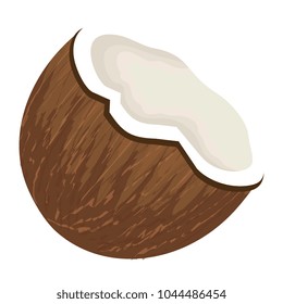 tropical and exotic coconut fruit