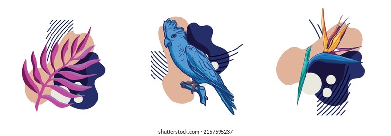 Tropical Exotic concept poster with abstract forms Bird of Paradise Flower and Blue Parrot. 
