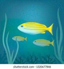 Tropical exotic fishes in aquarium or ocean underwater. Vector illustration of sea fishes and algae.
