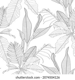 Tropical exotic floral line black white palm leaves and flowers seamless pattern, line background. Exotic jungle wallpaper.	