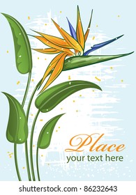 Tropical exotic flower. Abstract vector illustration. Greeting card.