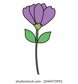 tropical and exotic flower decorative