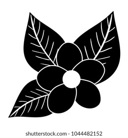 tropical and exotic flower decorative