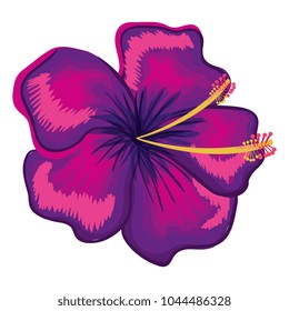 tropical and exotic flower decorative