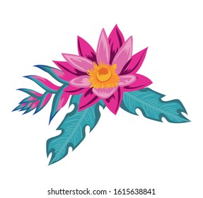 tropical and exotic flower with leafs plant vector illustration design