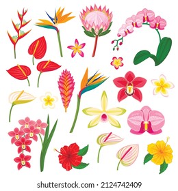 Tropical exotic flowers collection. Vector illustration cartoon flat icon set isolated on white background.