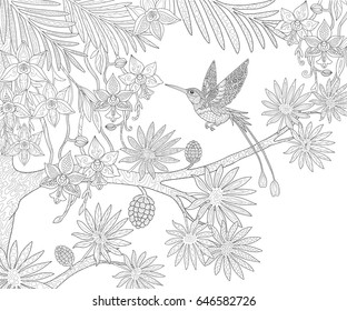 Tropical exotic flowers and hummingbird and palm leaves page for adult coloring book in doodle style.