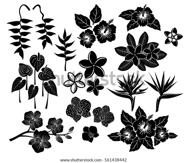 Free Free 106 Tropical Flower Silhouette Svg SVG PNG EPS DXF File