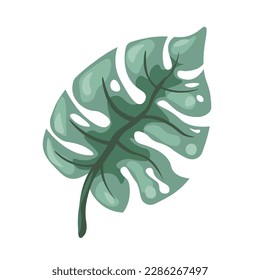 Tropical and exotic foliage, isolated floral decoration. Rainforest or botany design, monstera leaf with holes, houseplant bohemian vibe. Plant with large leafage. Vector in flat style illustration