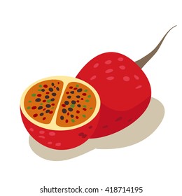 Tropical exotic fruit tamarillo, slices of fresh fruit vector illustration in flat cartoon style. Isolated icon. Fruit for juice and ingredients for healthy cooking, design vegetarian menu