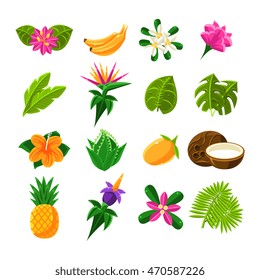 Tropical Exotic Fruits And Flora Set Of Icons