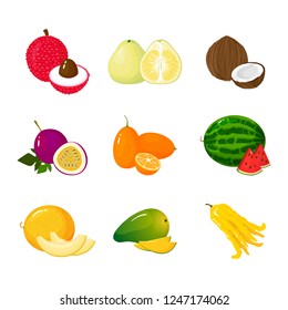 Tropical exotic Fruits set isolated on white background. Half and whole of juicy fruits. Cartoon flat icon collection. Lichee pomelo kumquat coconut passion fruit watermelon melon mango buddha hand