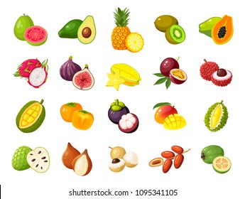 Tropical exotic fruits set. Vector illustration cartoon flat icon collection isolated on white.