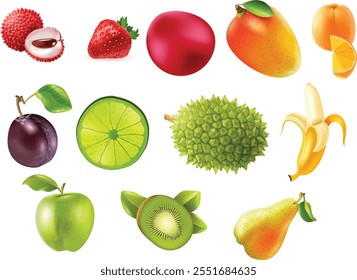 Tropical exotic fruits set. Vector illustration cartoon flat icon collection isolated on white.
