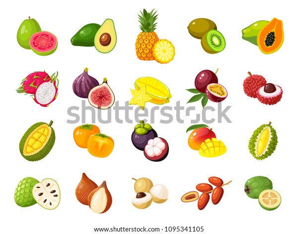 Tropical exotic fruits set. Vector\
illustration cartoon flat icon collection isolated on\
white.