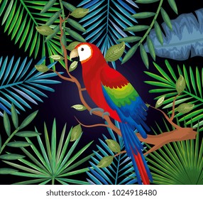 tropical and exotic garden with parrot