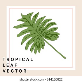 Tropical exotic green leaf, Vector Illustration on white background. For your design project