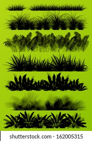 Tropical exotic jungle grass and plants detailed silhouettes landscape illustration collection background vector