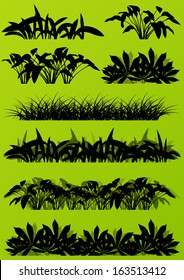 Tropical exotic jungle grass and plants detailed silhouettes landscape illustration collection background vector