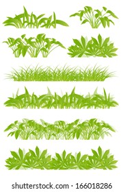 Tropical exotic jungle grass and plants detailed silhouettes landscape illustration collection background vector green concept