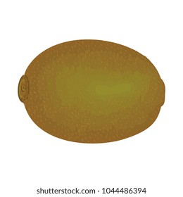 tropical and exotic kiwi fruit