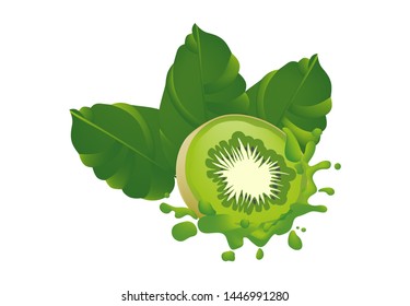 tropical and exotic kiwi fruit vector illustration design, Isolated