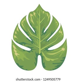 Tropical exotic leaf of monstera tree with watercolor style. Flat color style Vector Illustration.
