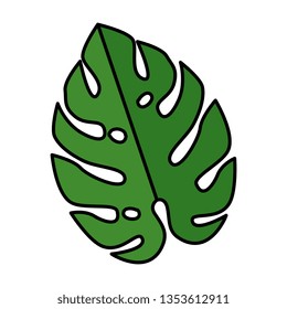 tropical exotic leaf plant