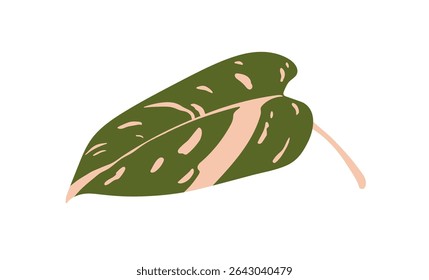 Tropical exotic leaf. Variegated plant, mottled large foliage, bicolor pattern with spots. Broad greenery. Fresh green decoration. Botanical flat vector illustration isolated on white background