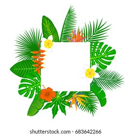 tropical exotic leaves and flowers plants background. floral foliage backdrop with palm tree banana  monstera leaf hibiscus  heliconia bird of paradise frangipani. empty space for your text