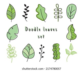 Tropical exotic leaves hand drawn vector set. Colour silhouettes of palm leaves and herbs leaves isolated on white background