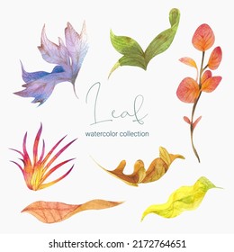 Tropical exotic leaves, jungle leaves, botanical vector illustration, set isolated on white background. 