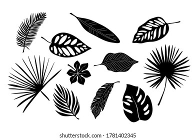 Tropical exotic leaves of palm, monstera, coconut, banana tree. Set of elements, vector illustrated, black and white, silhouette.