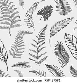 tropical or exotic leaves. seamless pattern. leaf of different vintage looking plants. palm with banana botany set. flowers engraved vintage, hand drawn. botanical organic product. green background.