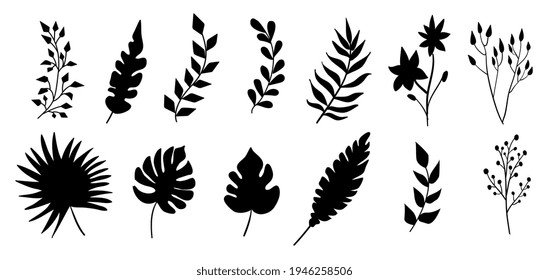 Tropical and exotic leaves silhouette isolated on white background. Vector palm leaf, monstera and other plants illustrations.