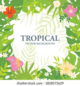 Hojas tropicales exóticas de fondo cuadrado, hojas cortas y composición floral con diseño plano
