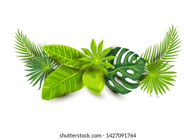 Tropical exotic leaves vector illustration isolated on white background. Design element with shadow for poster, web, flyers, invitation, postcard, t-shirt design.