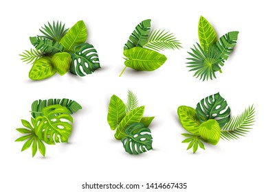 Tropical exotic leaves vector illustrations set isolated on white background. Design element with shadow for poster, web, flyers, invitation, postcard, t-shirt design.