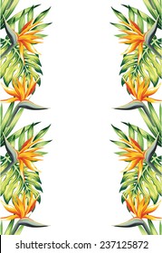 tropical exotic mirror background