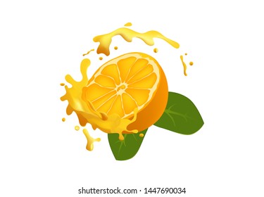 tropical and exotic orange fruit vector illustration design, Isolated