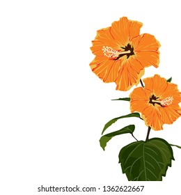 Tropical exotic orange hibiscus flower branch, elegant card template. Small floral garland.