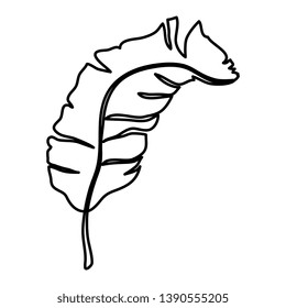tropical and exotic palm leaf